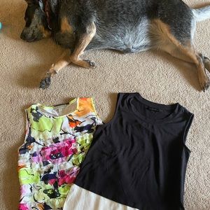 Women’s Large Sleeveless Blouse Bundle